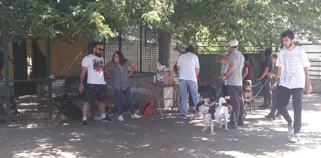 Voluntarios de El Refugio en uno de los paseos de los sábados