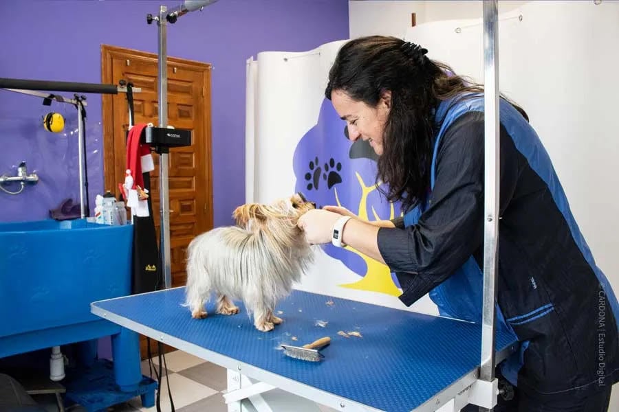 Esther cuida de cada una de las mascotas con mucho mimo