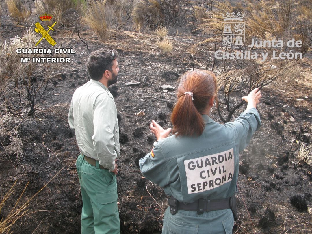 Imagen del incendio de Paradilla