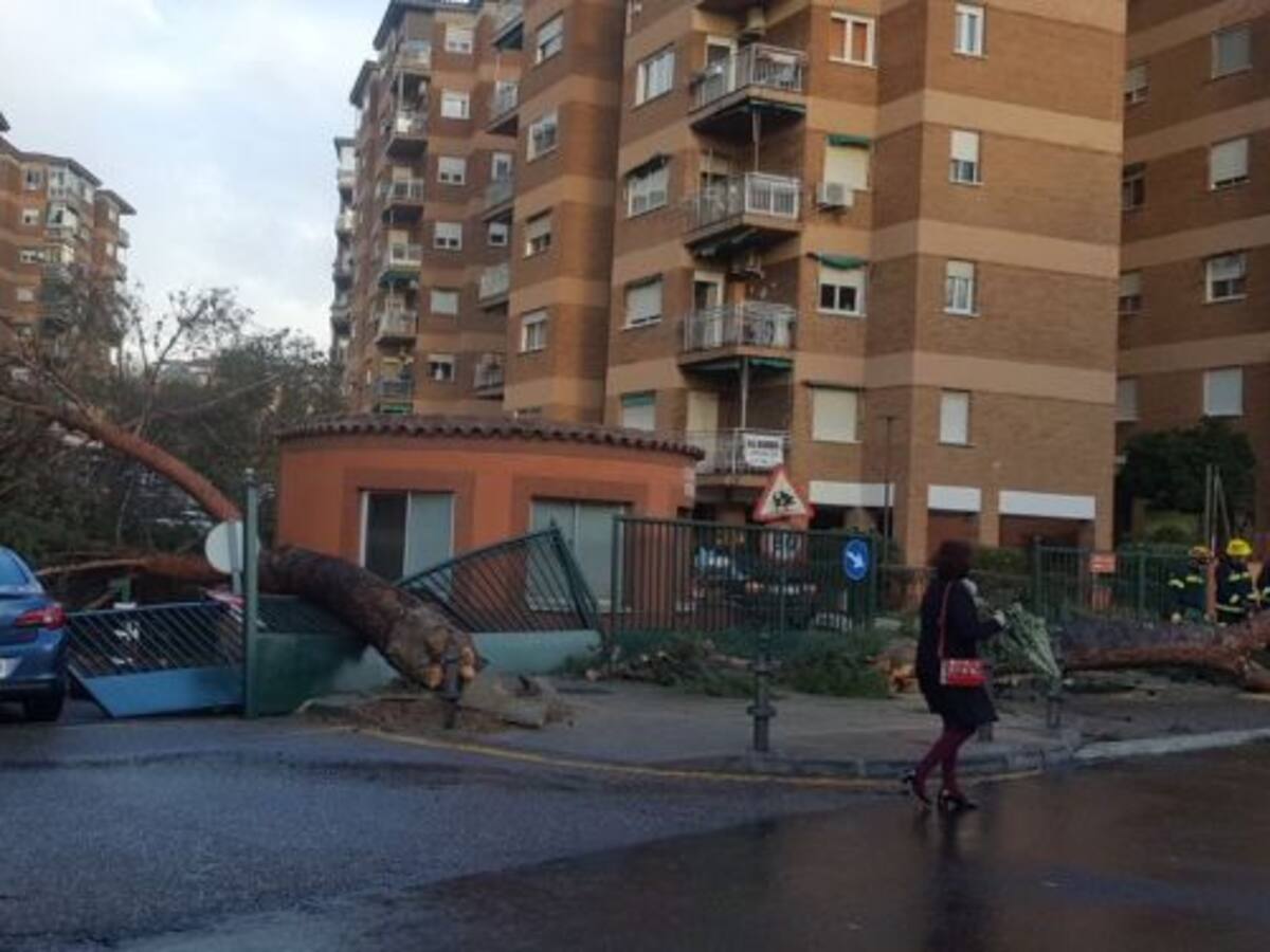 "Emma" provoca daños en Toledo