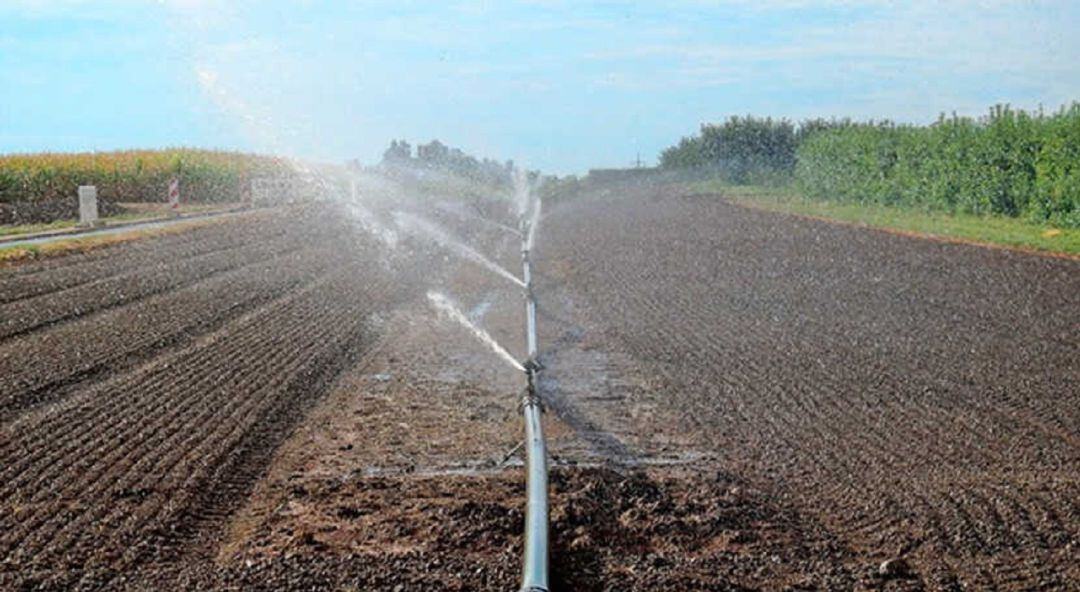 La UPV detecta la presencia de Helicobacter en aguas reutilizadas para riego agrícola en Valencia