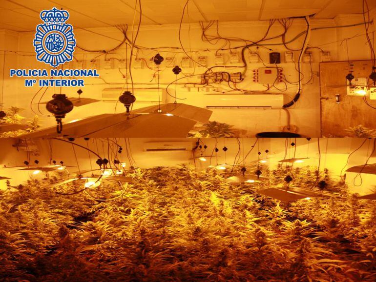 Plantación de marihuana y robo de siministro eléctrico en una vivienda de Granada