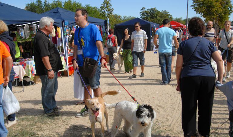 La ordenanza regulará el uso de espacios públicos, fiestas, infracciones o tenencia de animales, entre otras cuestiones