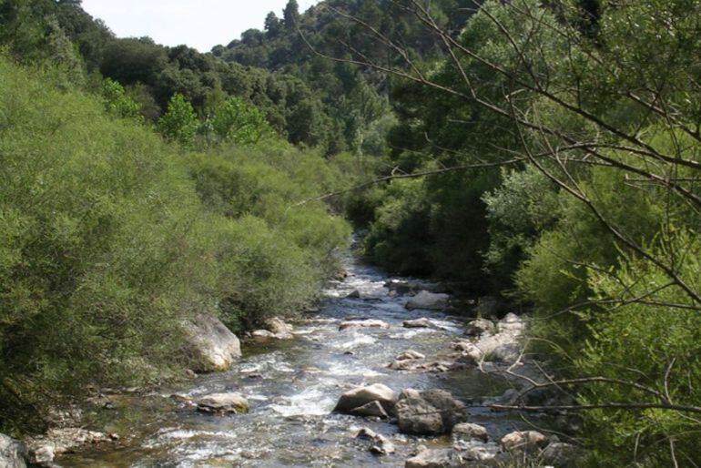 Parque natural Sierra de Castril (Granada)