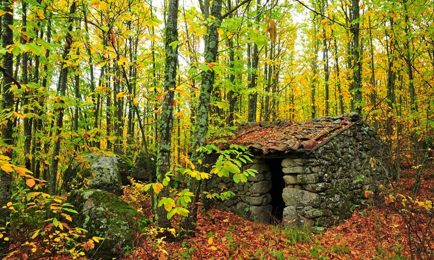 El Otoño Mágico del Valle del Ambroz vivirá en este 2024 su primera edición como Fiesta de Interés Turístico Internacional./EL PAÍS