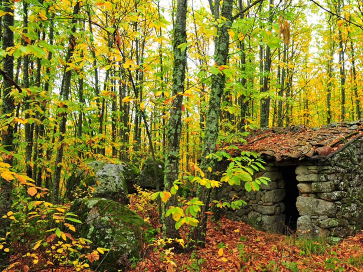 Otoño Mágico. Fiesta de Interés Turístico Internacional