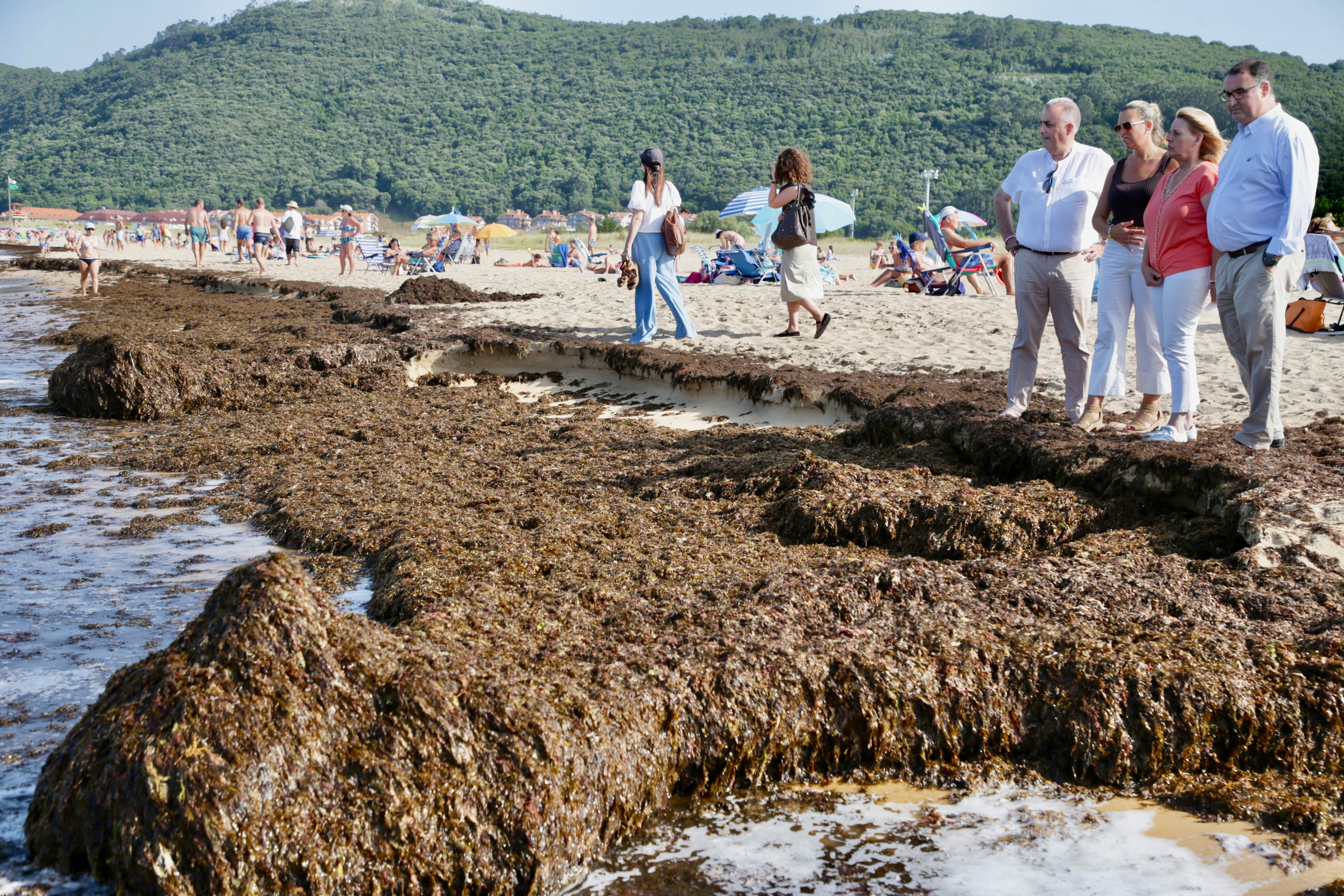 NOJA (CANTABRIA), 09/08/2025.- El Gobierno de Cantabria ha retirado 200 toneladas de algas asiáticas (&#039;Rugulopteryx okamurae&#039;) de las playas de Noja (Cantabria) con un operativo de emergencia que desplegó este viernes y que continuará trabajando para intentar que este domingo &quot;vuelvan a mostrar una imagen adecuada&quot;. EFE/Gobierno de Cantabria SOLO USO EDITORIAL/SOLO DISPONIBLE PARA ILUSTARR LA NOTICIA QUE ACOMPAÑA (CRÉDITO OBLIGATORIO)
