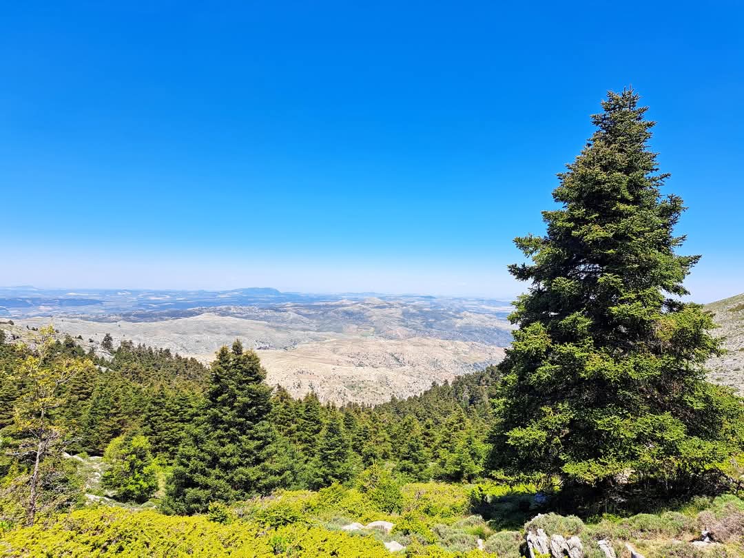 Con casi 23.000 hectáreas, el parque nacional comprende los municipios de Benahavís, El Burgo, Istán, Monda, Parauta, Ronda, Tolox y Yunquera, además de aquellos que conforman su zona periférica de protección: Alozaina, Casarabonela, Guaro, Igualeja, Ojén y Serrato.