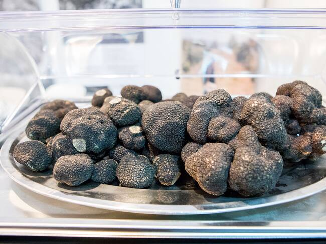 FITRUF es una feria internacional dedicada a la trufa negra en la cuna de este producto: la localidad turolense de Sarrión.