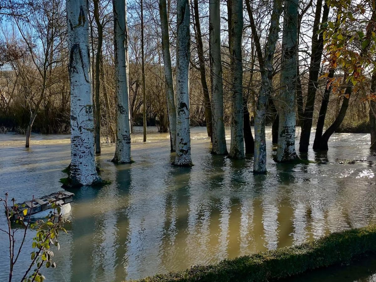 Las lluvias dejan 470 hectáreas siniestradas en Palencia