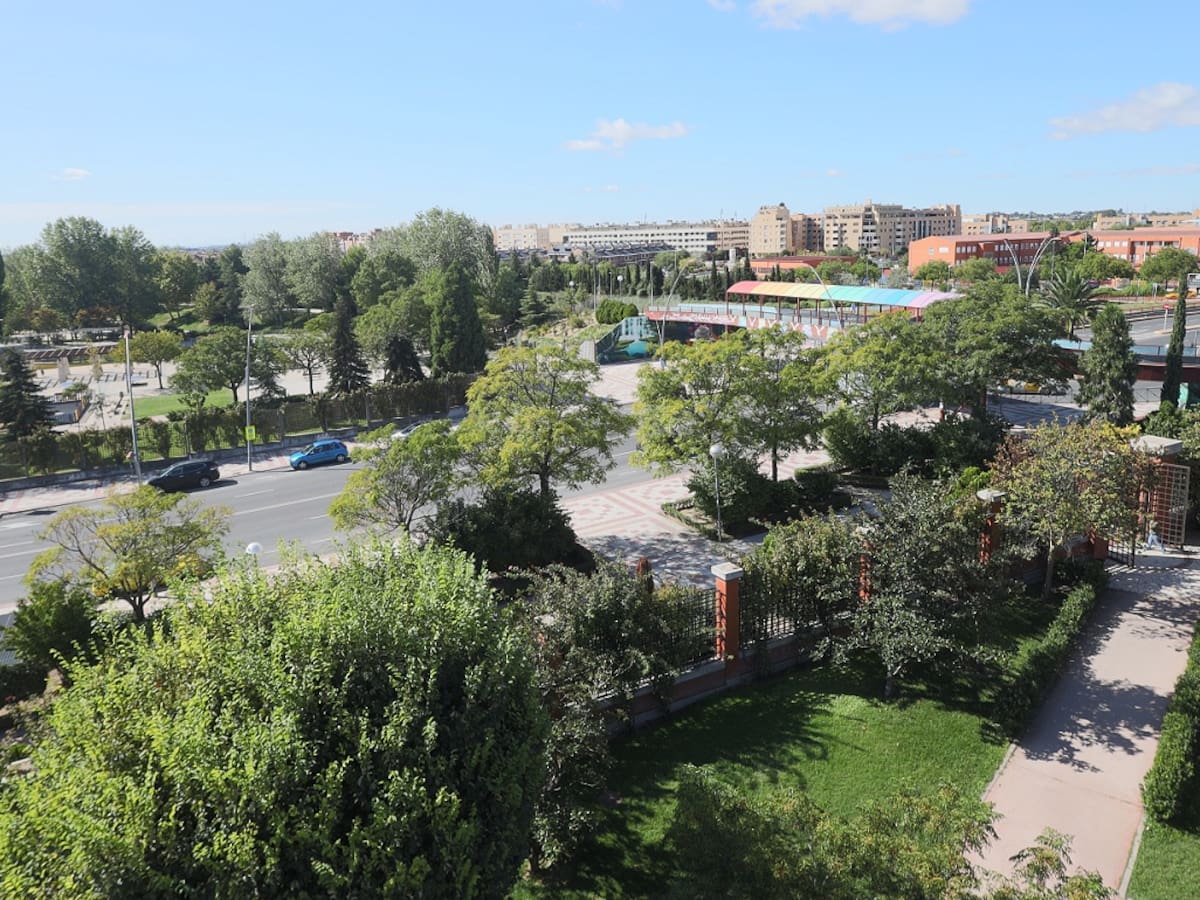 Leganés y Fuenlabrada, reconocidas por primera vez como ‘ciudades arbóreas’ del mundo