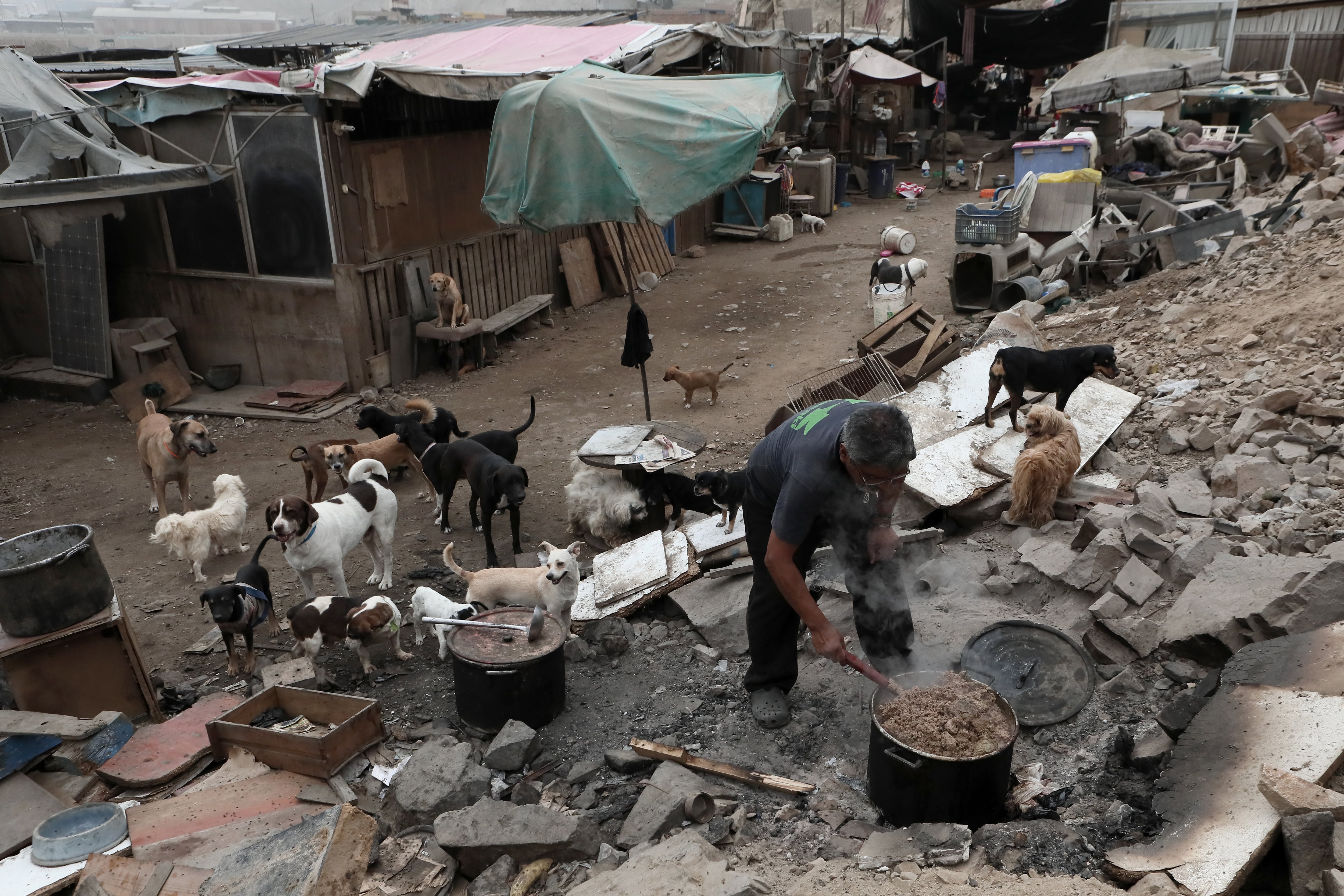 Un hombre convive con multitud de perros en un barrio de Lima, la capital de Perú.