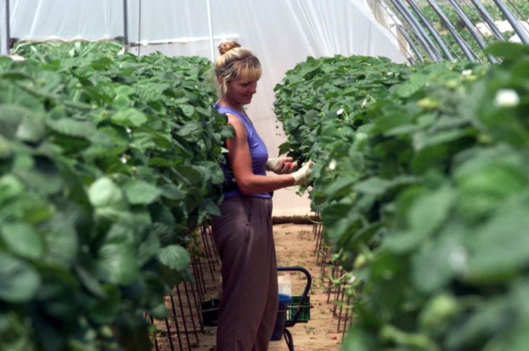 Marco insta a las administraciones a favorecer a las mujeres del mundo rural con políticas de igualdad real