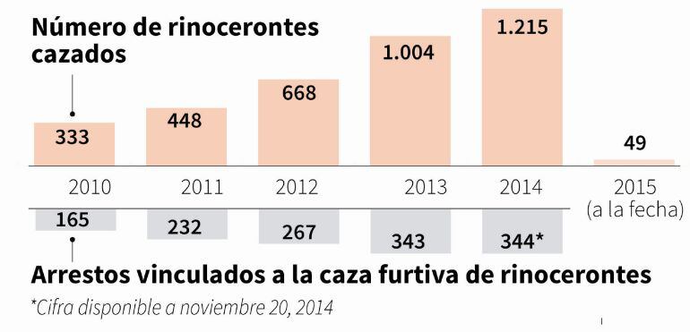 Datos sobre la caza furtiva de rinocerontes en Sudáfrica.