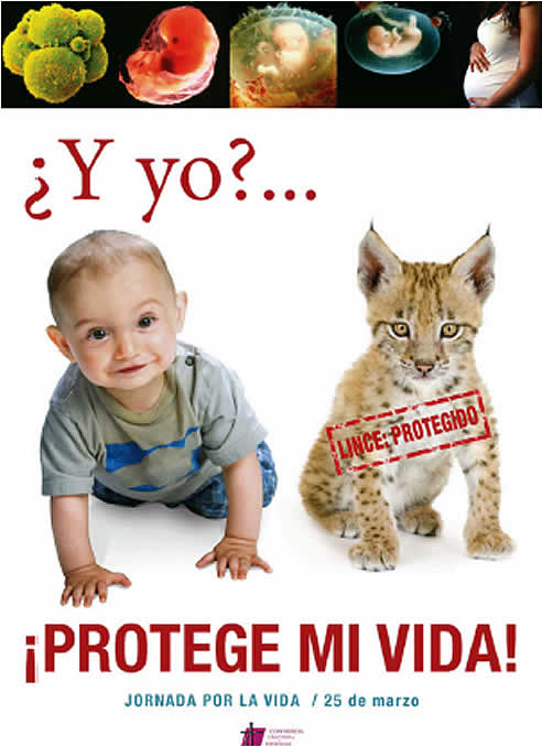 Cartel de la campaña &quot;¡Protege mi vida¡&quot; que lanza la Conferencia Episcopal contra el aborto