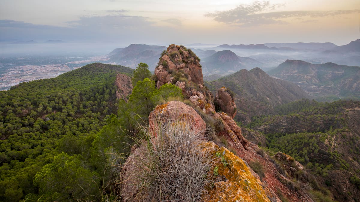 Entrevista a Jorge Sánchez, biólogo y técnico de ANSE
