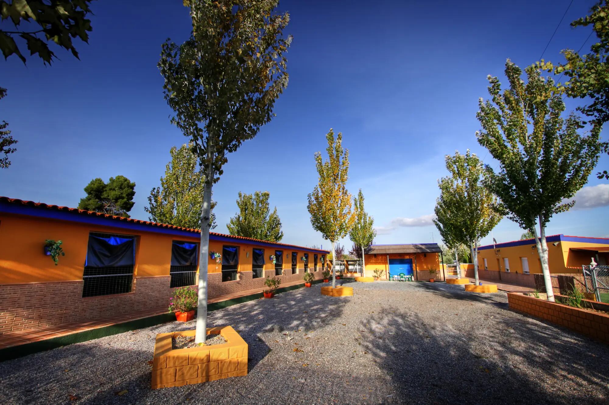 Residencia de mascotas Delagos en Granada