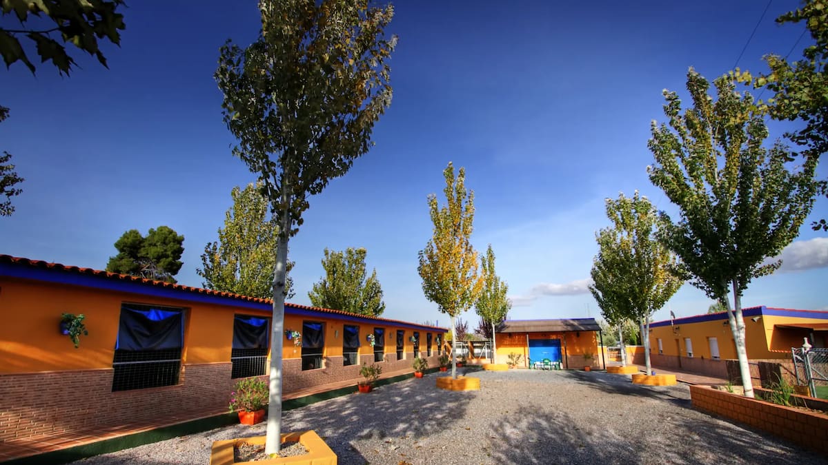 Delagos, el “hotel cinco estrellas” para mascotas en Granada