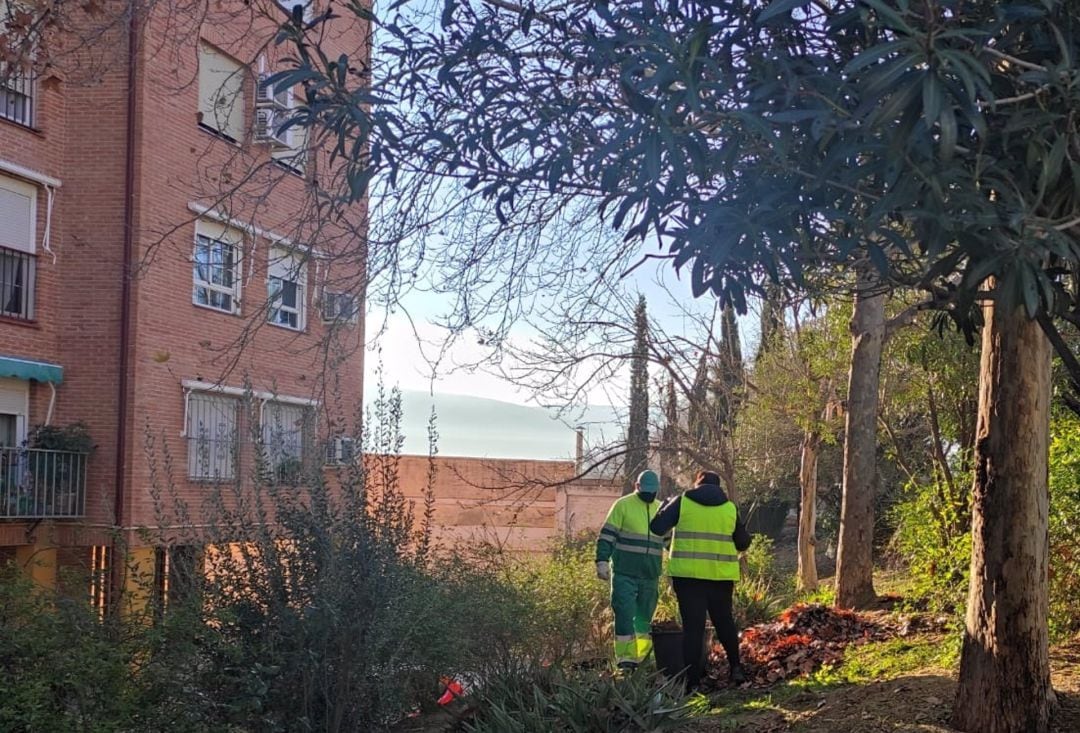 Algunas zonas de la capital estaban muy necesitadas de un plan de jardinería 