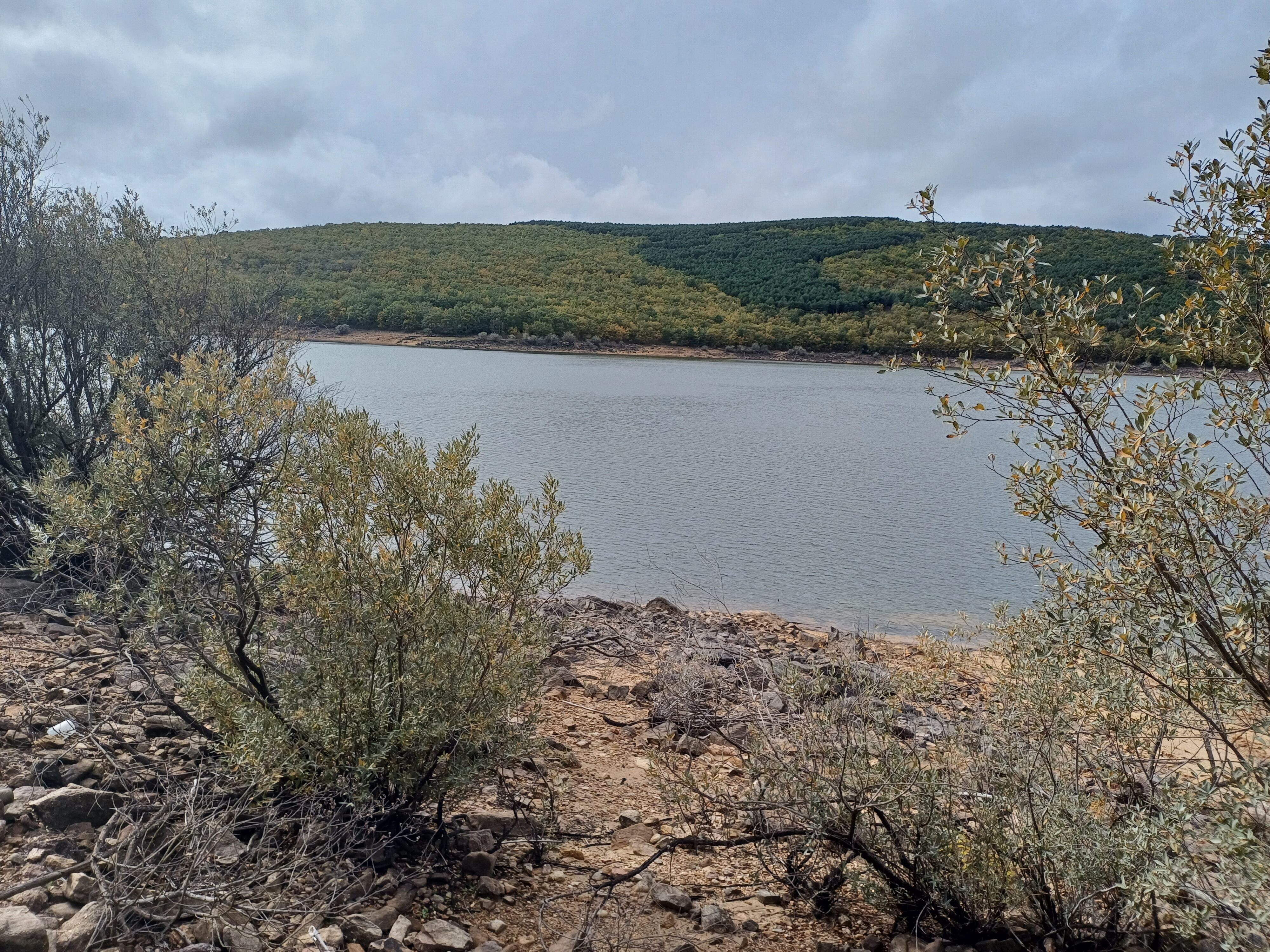 Pantano de la Cuerda del Pozo.