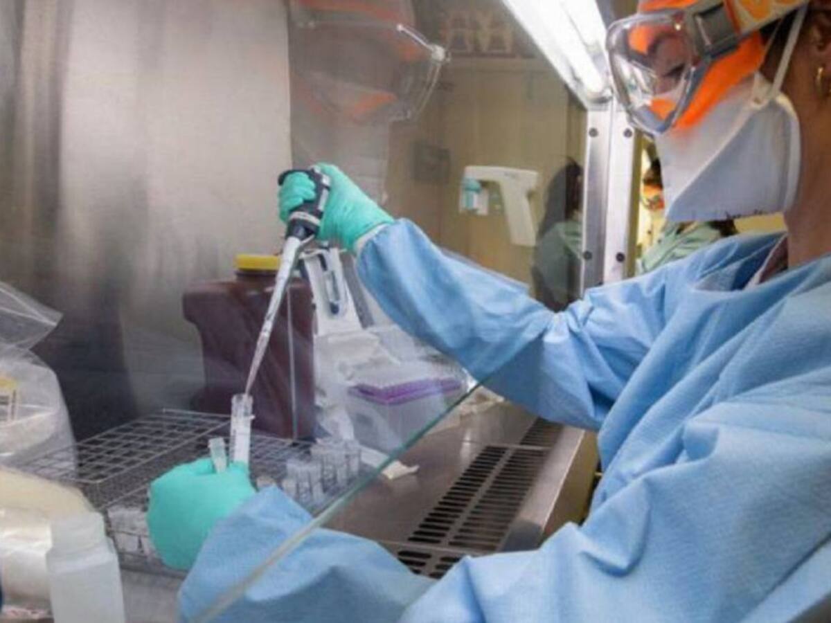 Crecimiento muy contenido del Covid-19 en Elche y comarca