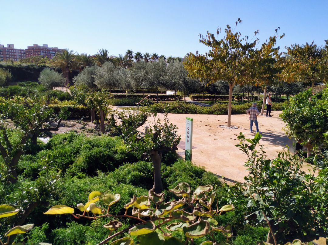 Jardín del Turia de València