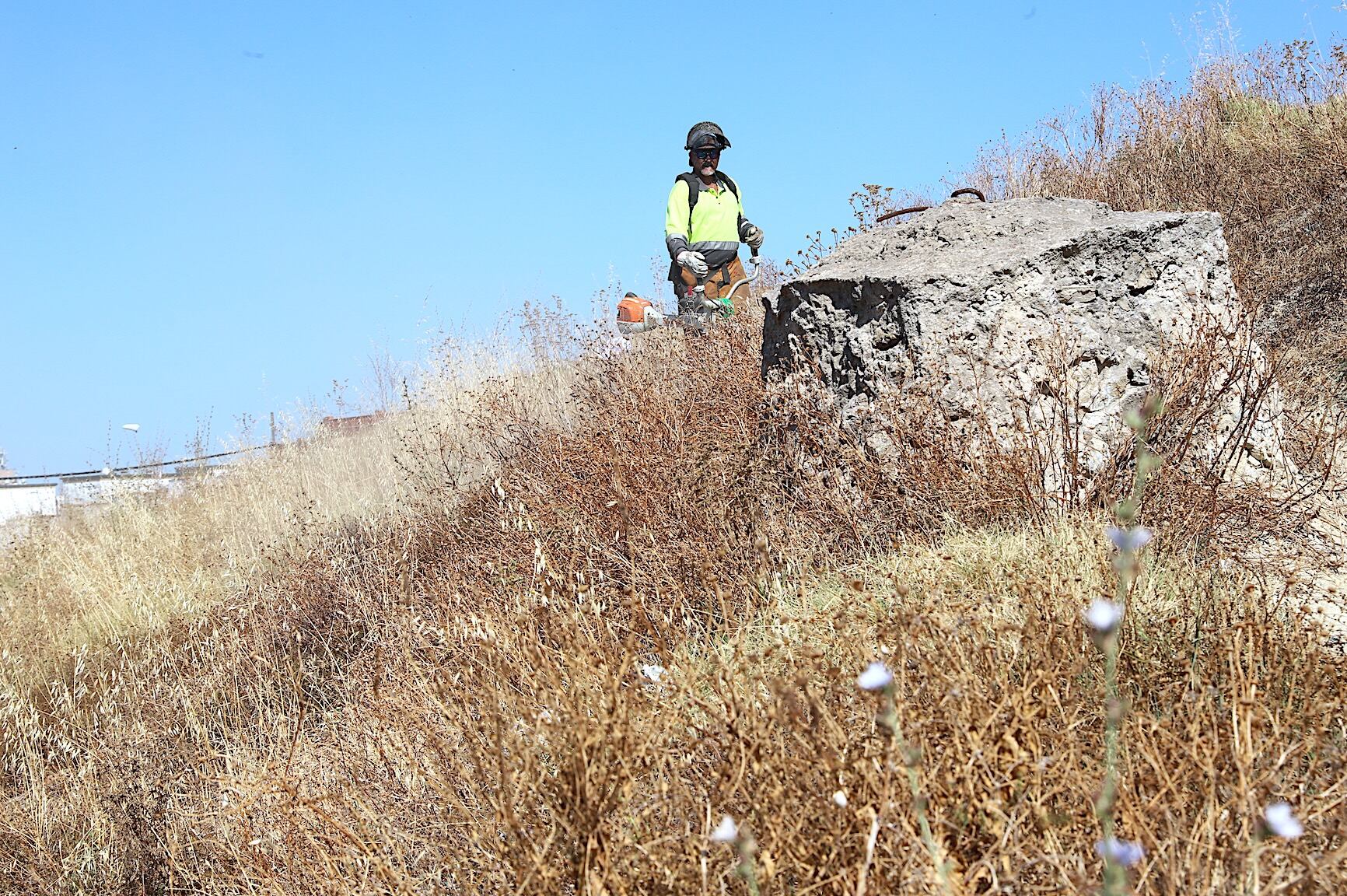 Labores de desbroce en una parcela de la Zona Sur de Jerez