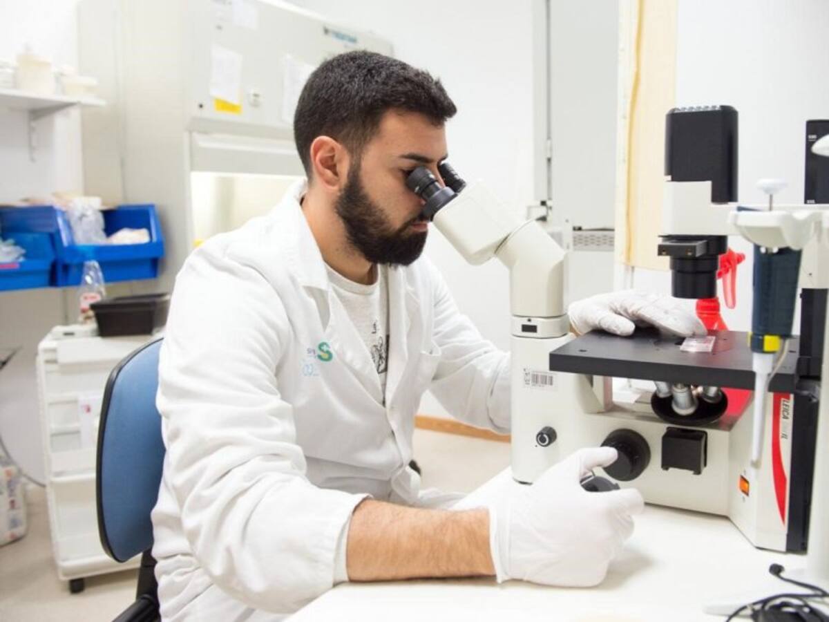 Los ministerios de Ciencia y Hacienda trabajan para que los contratos del personal investigador puedan ser indefinidos desde ya