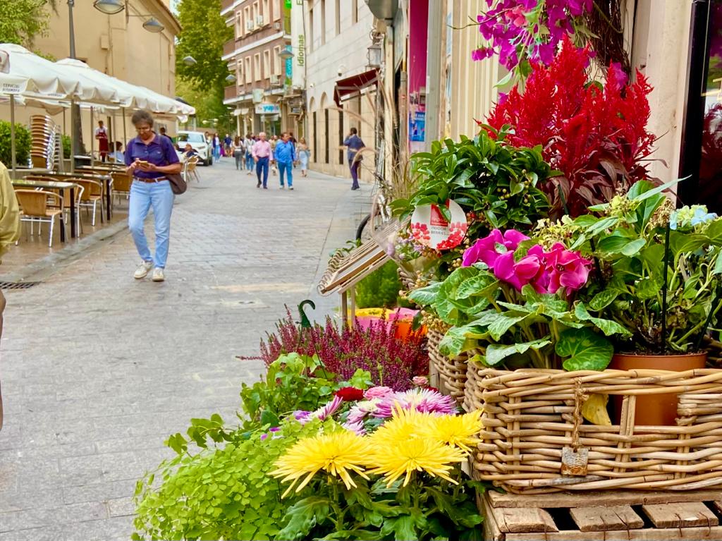 Escaparate de una floristería en Córdoba capital