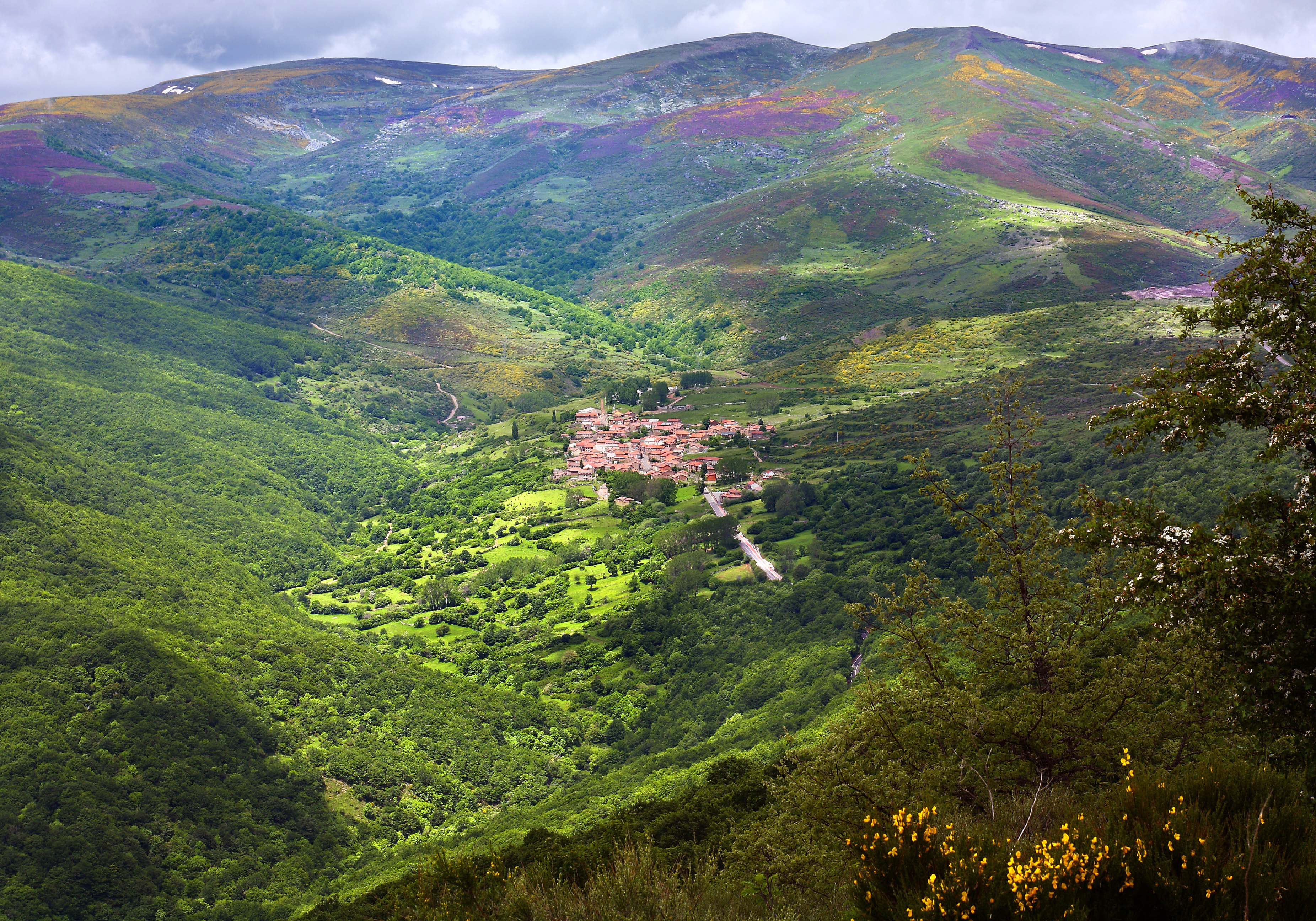 Entorno natural del municipio de Brñaosera (Palencia)