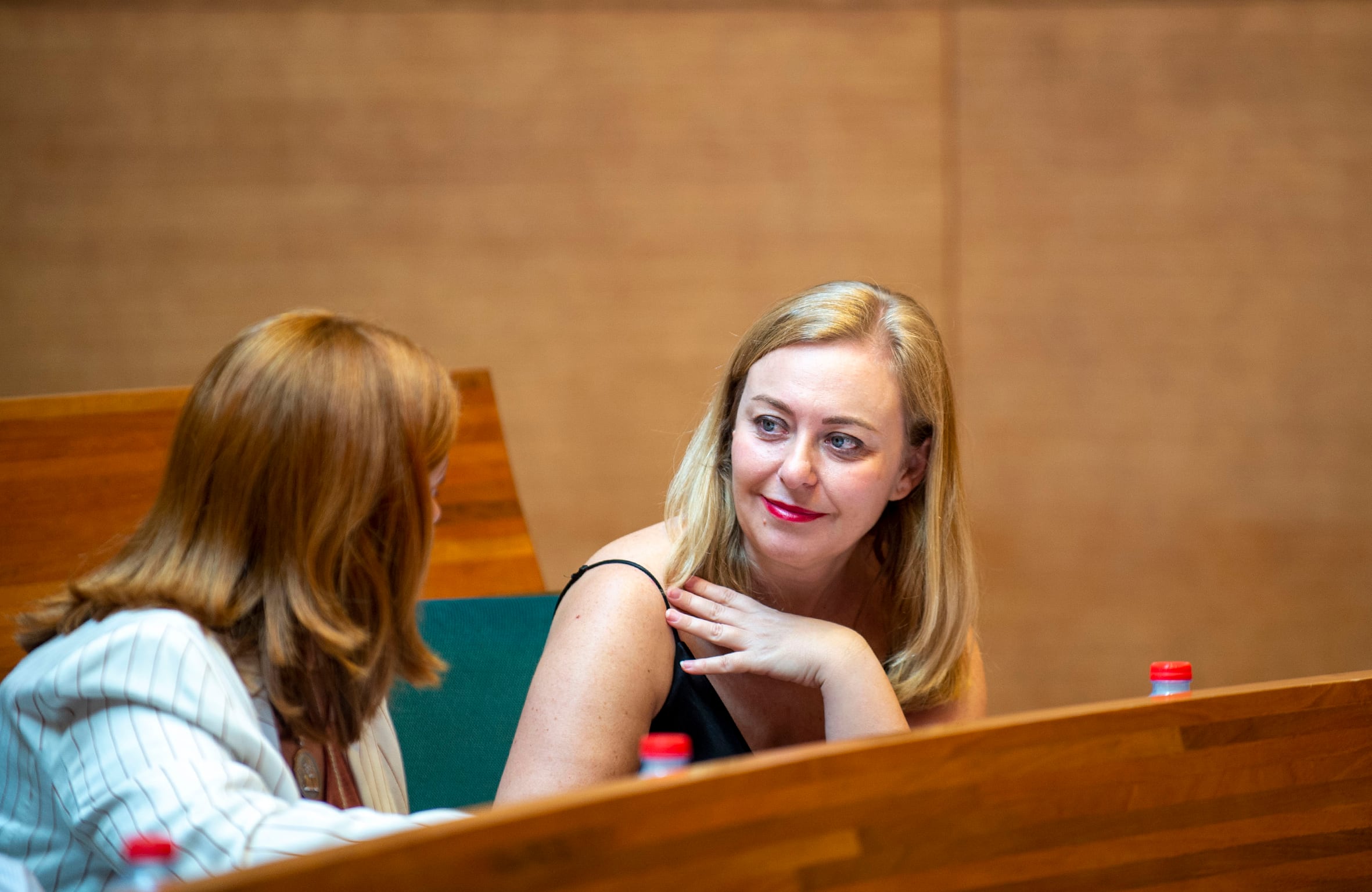 Natàlia Enguix al plenari de la Diputació