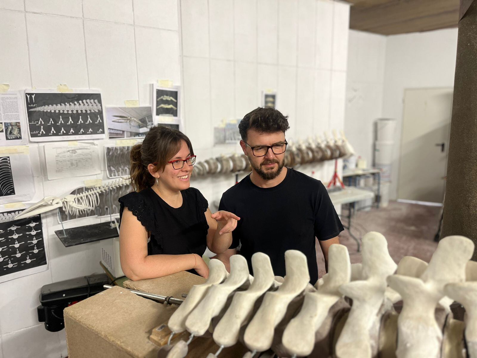 Trabajos en la ballena