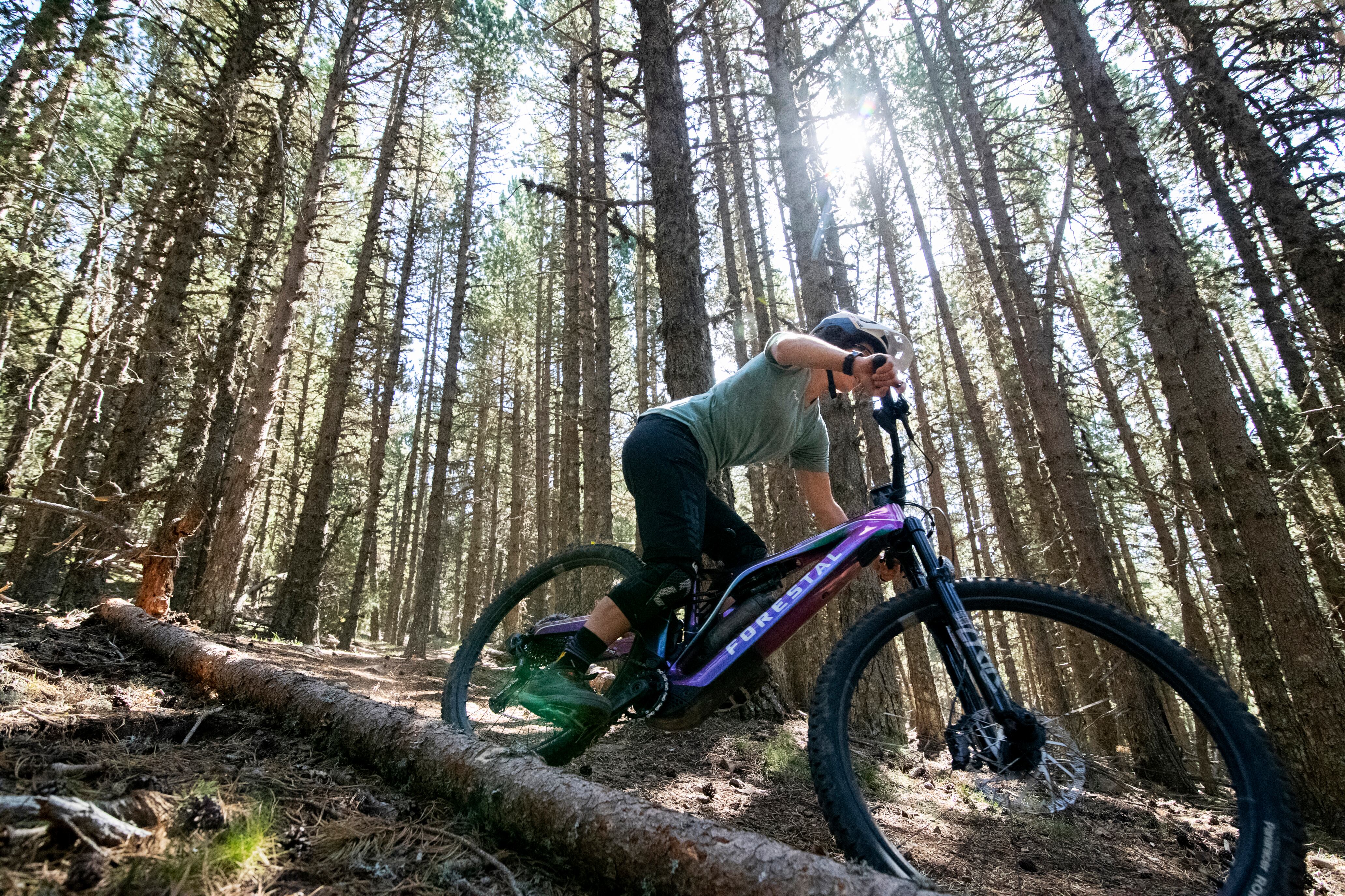 La temporada d'estiu representa la millor de l'any per a Naturland