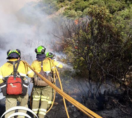 Efectivos actuando este sábado en el incendio entre Casares y Estepona