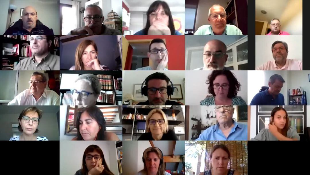 Pleno extraordinario y urgente, de 10 de junio de 2020.