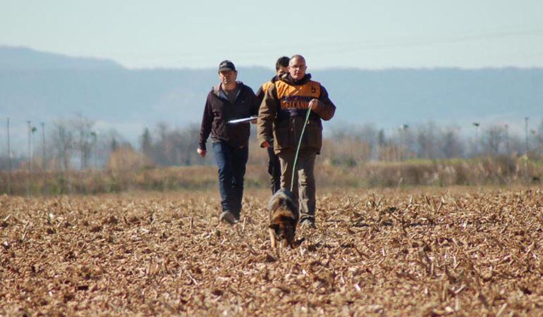 El campeonato se celebró en Ejea de los Caballeros
