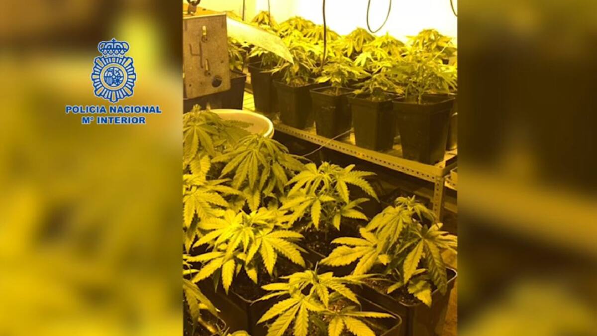 Desmantelado un punto de elaboración de droga en una de las torres de viviendas sociales de Arrayanes