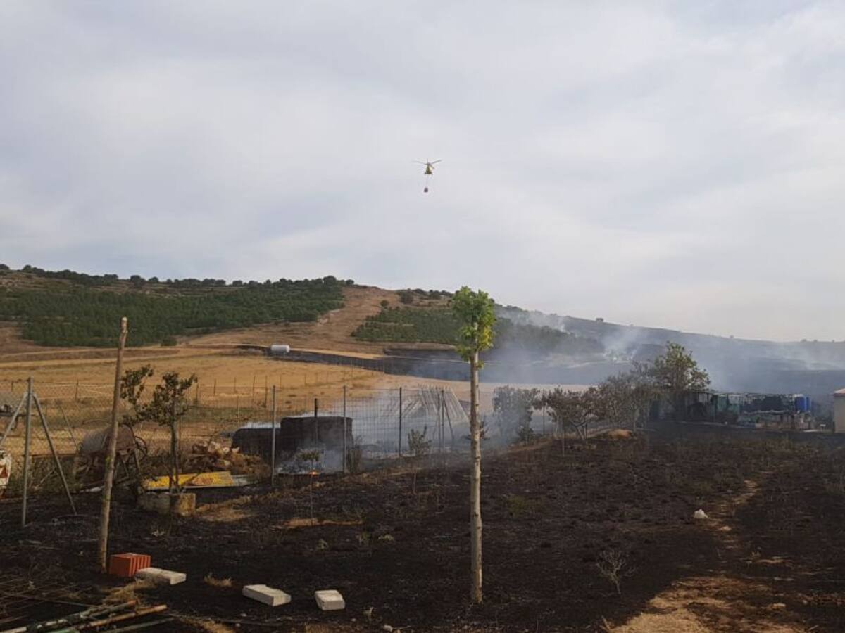 70 hectáreas de cultivo y pinar arrasadas por un incendio en el Monte El Viejo de Palencia