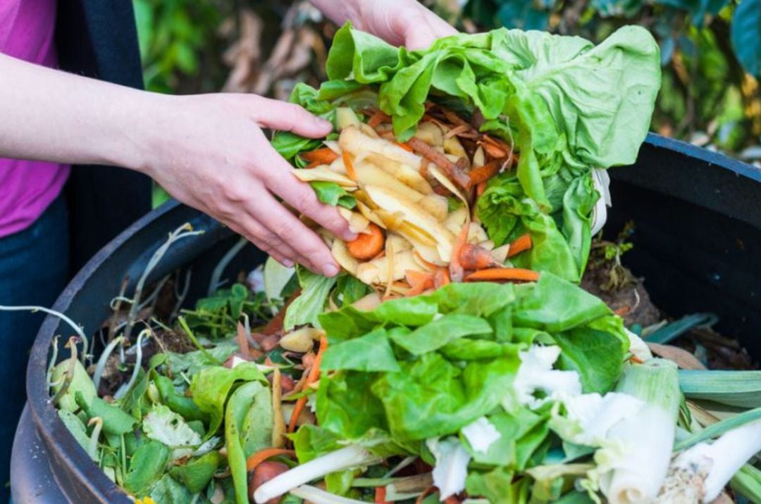 El mayor desperdicio de alimentos se produce en los hogares.