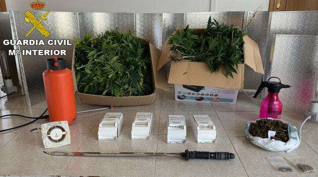 Parte de las plantas y material incautado.