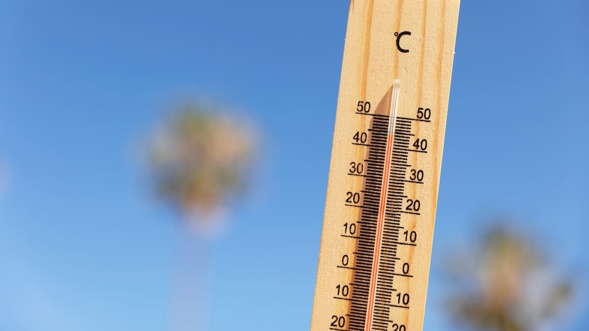 Toni Gonzalez Picornell, presidente de la Asociación de Directores de Secundaria de la Comunitat: "Se debe plantear la prevención ante altas temperaturas"