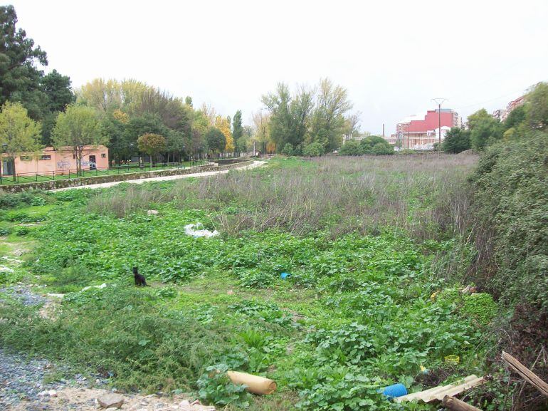 Ubicación del futuro colegio en las Huertas de la Isla