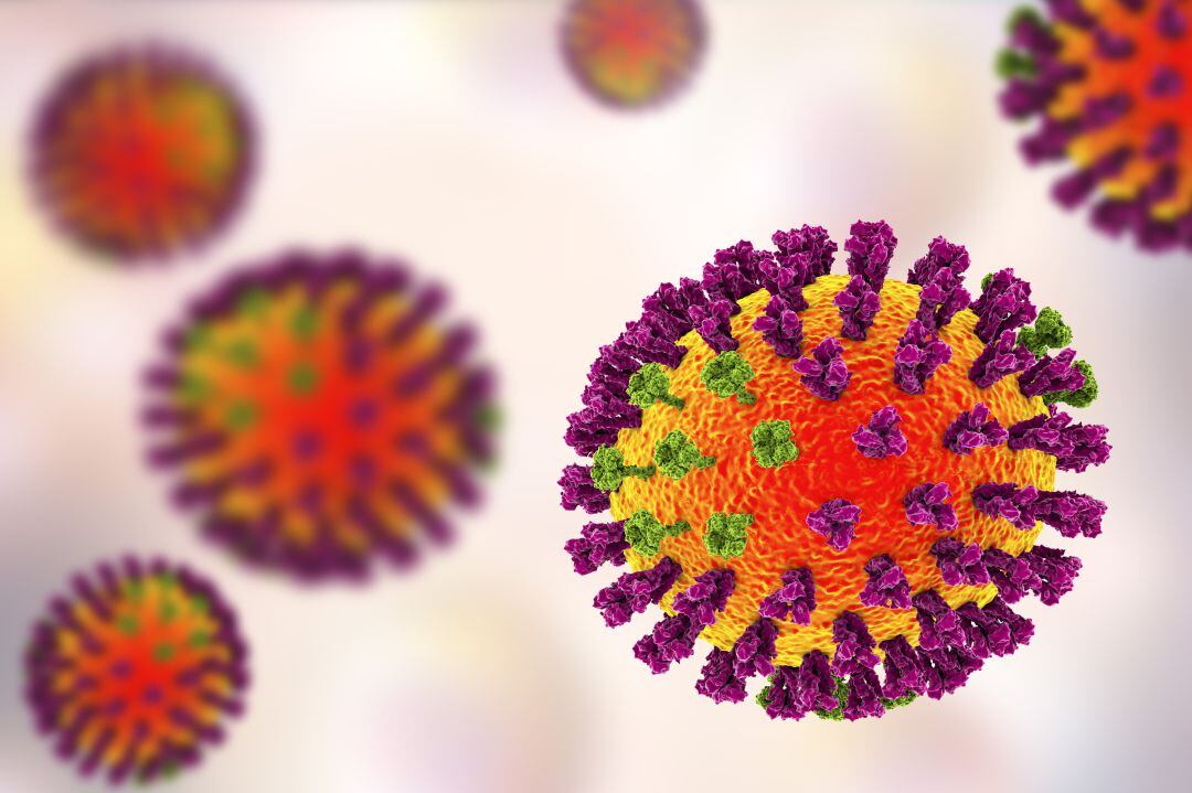 Así es el virus de la gripe