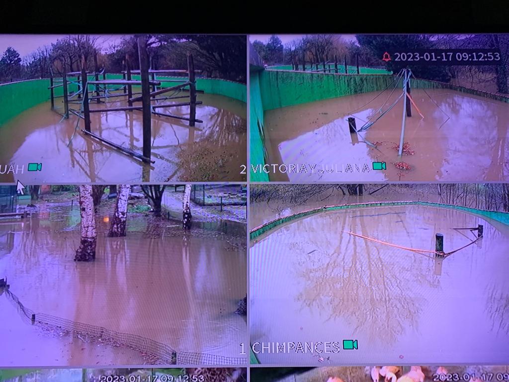 Inundación en el Zoo de Santillana del Mar en enero de 2023 (Cantabria)