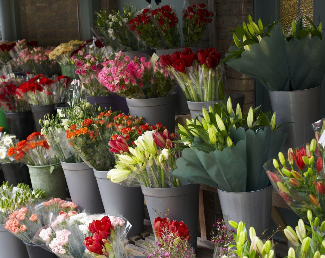 La festividad de Todos los Santos puede ser un salvavidas para el sector de la floricultura, pero la situación no es fácil