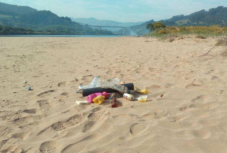 La comunidad científica alerta sobre los impactos del abandono de basuras en la naturaleza.