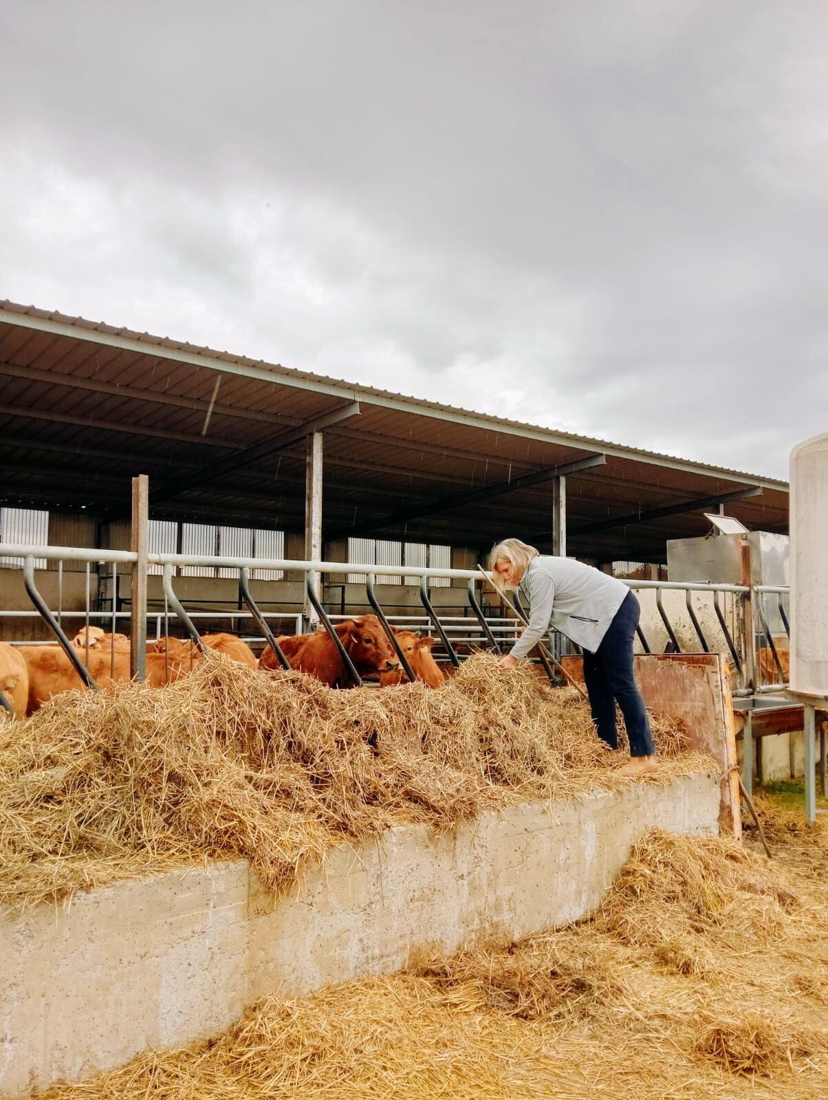 Anabel Cases, responsable de la sectorial de vacuno de ASAJA Huesca