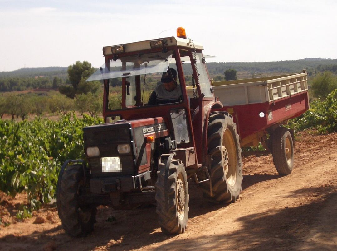 Tractor en una recogida de uva.