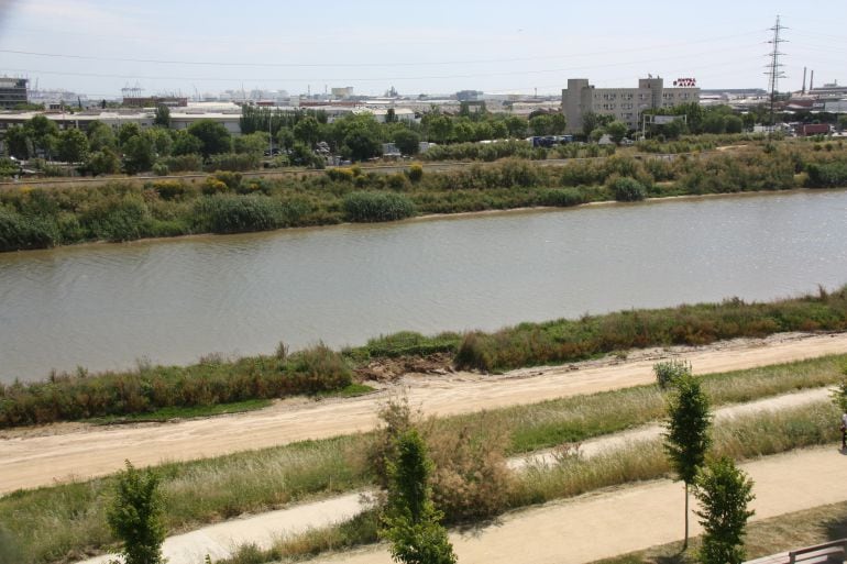 El riu Llobregat al seu pas pel Prat de Llobregat