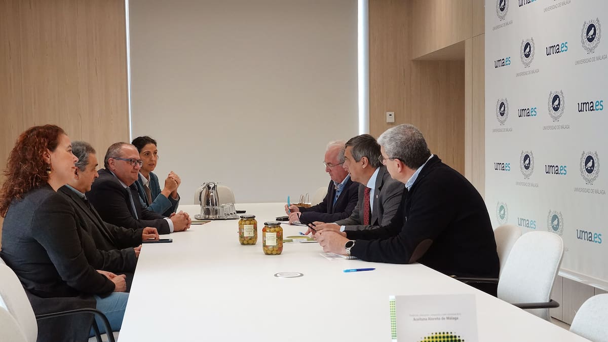 La Universidad de Málaga investigará y formará en promoción de aceituna aloreña